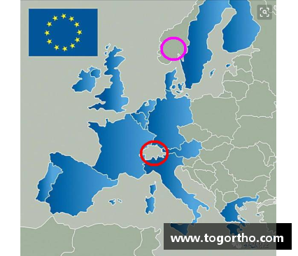 欧盟主要的成员国有哪些？(欧洲有多少国家没加入欧盟？)